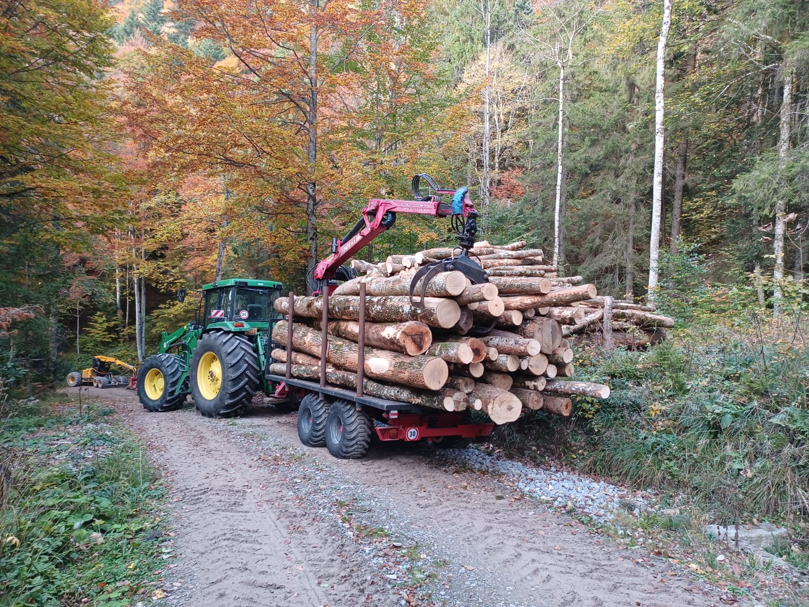 Wald & Holz